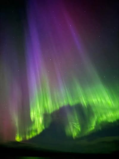 Green aurora in a dark coastal sky