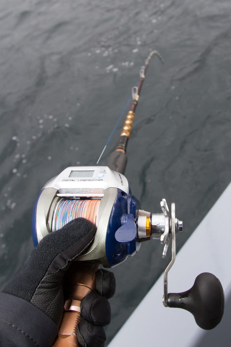 Fishing rod and reel